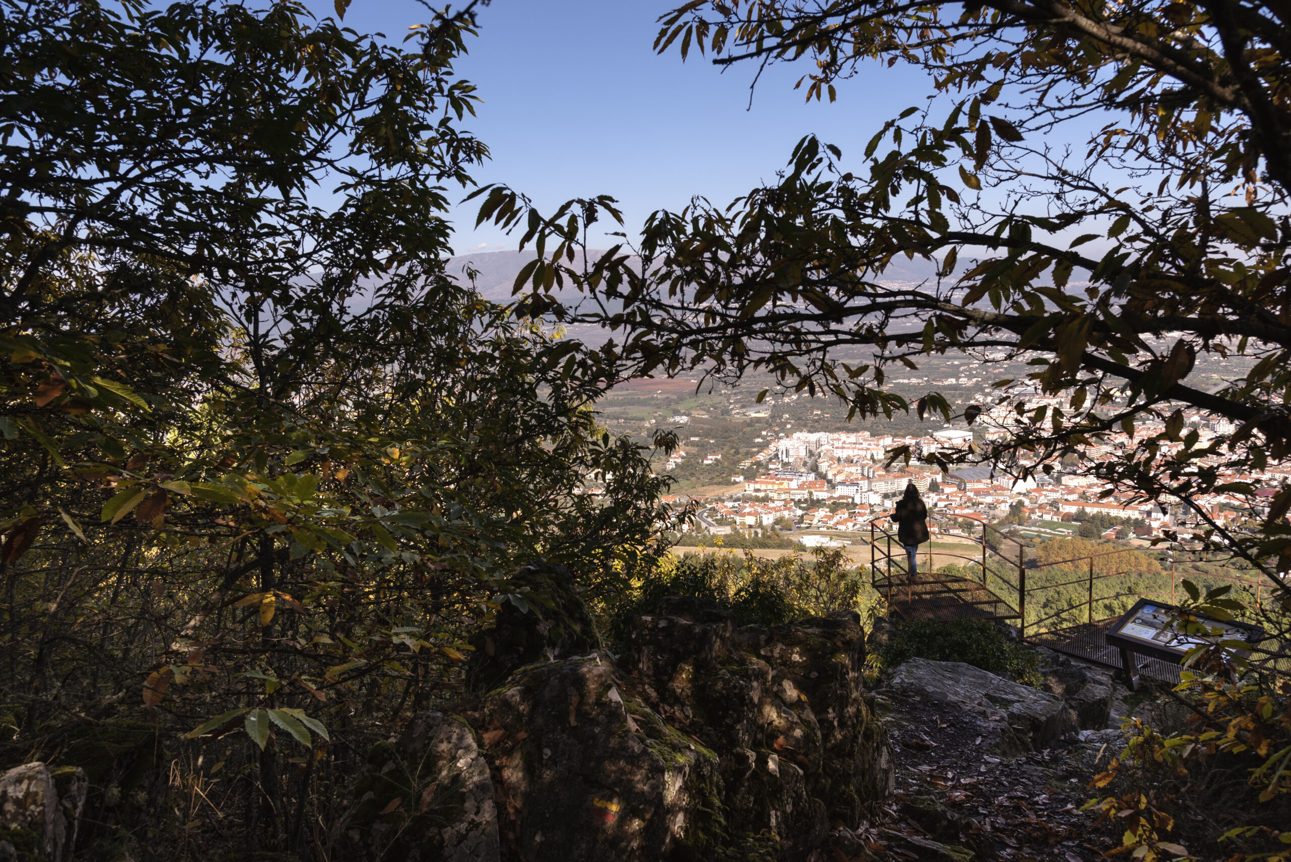 About Foodcop, foodcop.eu, waste management strategies, rural village, food waste management, rural communities, circular bioeconomy, eu bioeconomy strategy, startup village, bioeconomy strategy, rural innovation projects, entrepreneurship in rural areas, food and sustainability, Foodcop european project