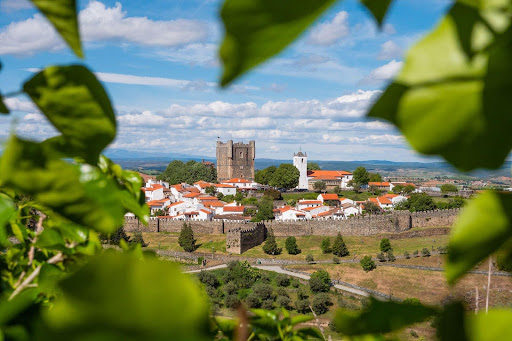 Foodcop startup village, foodcop.eu, waste management strategies, rural village, food waste management, rural communities, circular bioeconomy, eu bioeconomy strategy, startup village, bioeconomy strategy, rural innovation projects, entrepreneurship in rural areas, food and sustainability, Foodcop european project